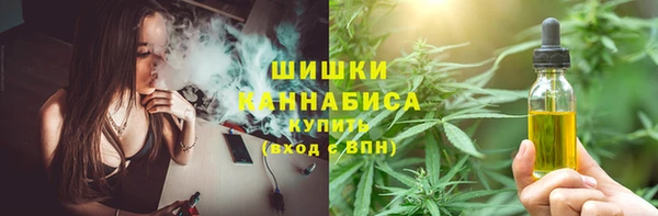 стафф Богородск