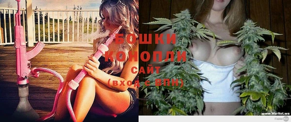 стафф Богородск