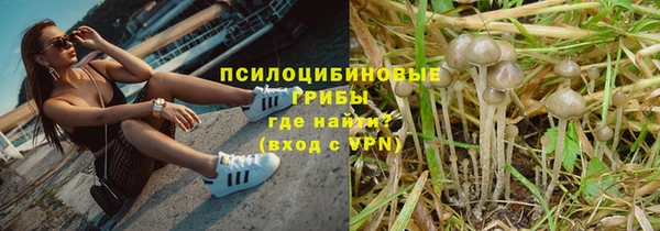 стафф Богородск