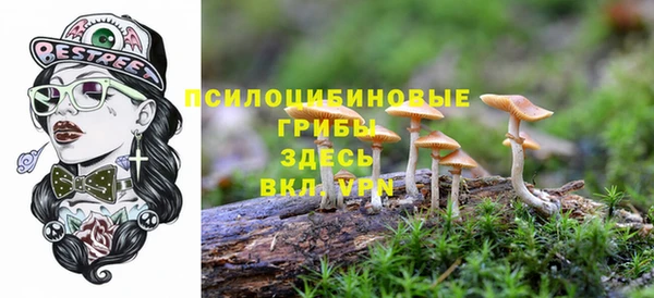 МДПВ Богородицк