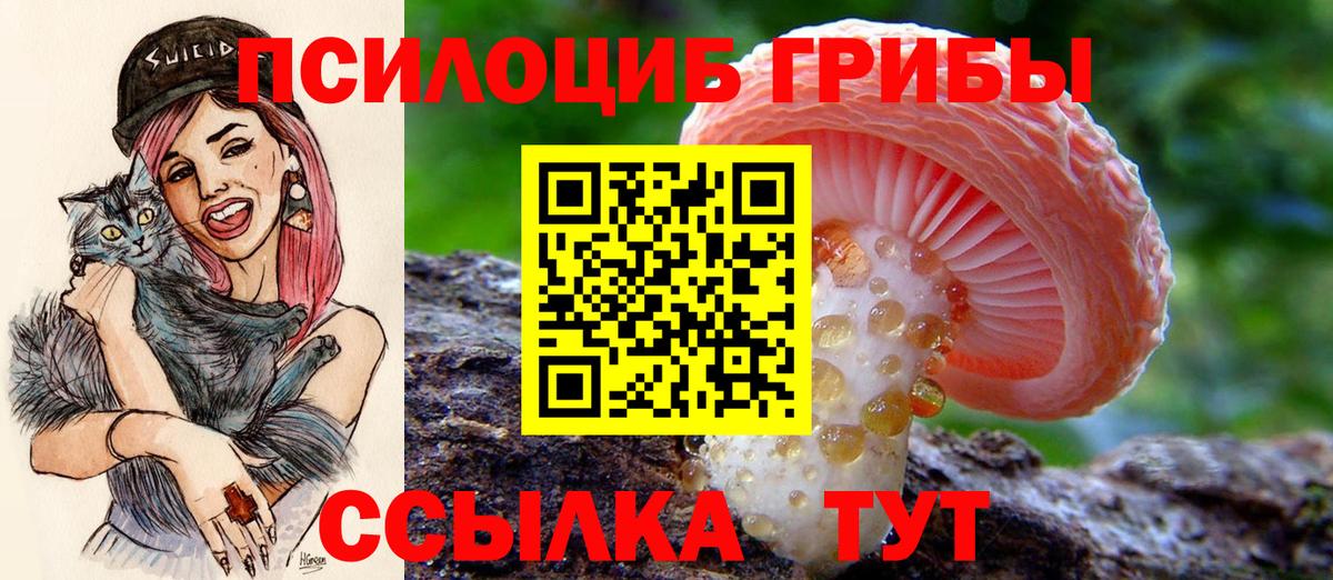 Великие Луки  Псилоцибиновые грибы прущие грибы  Вход с VPN 